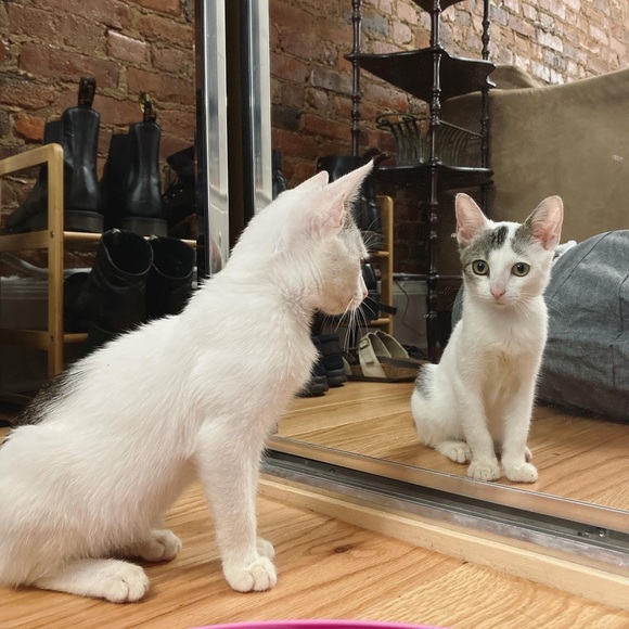 Meet your Posher, Yelle - Picture 6 of 9